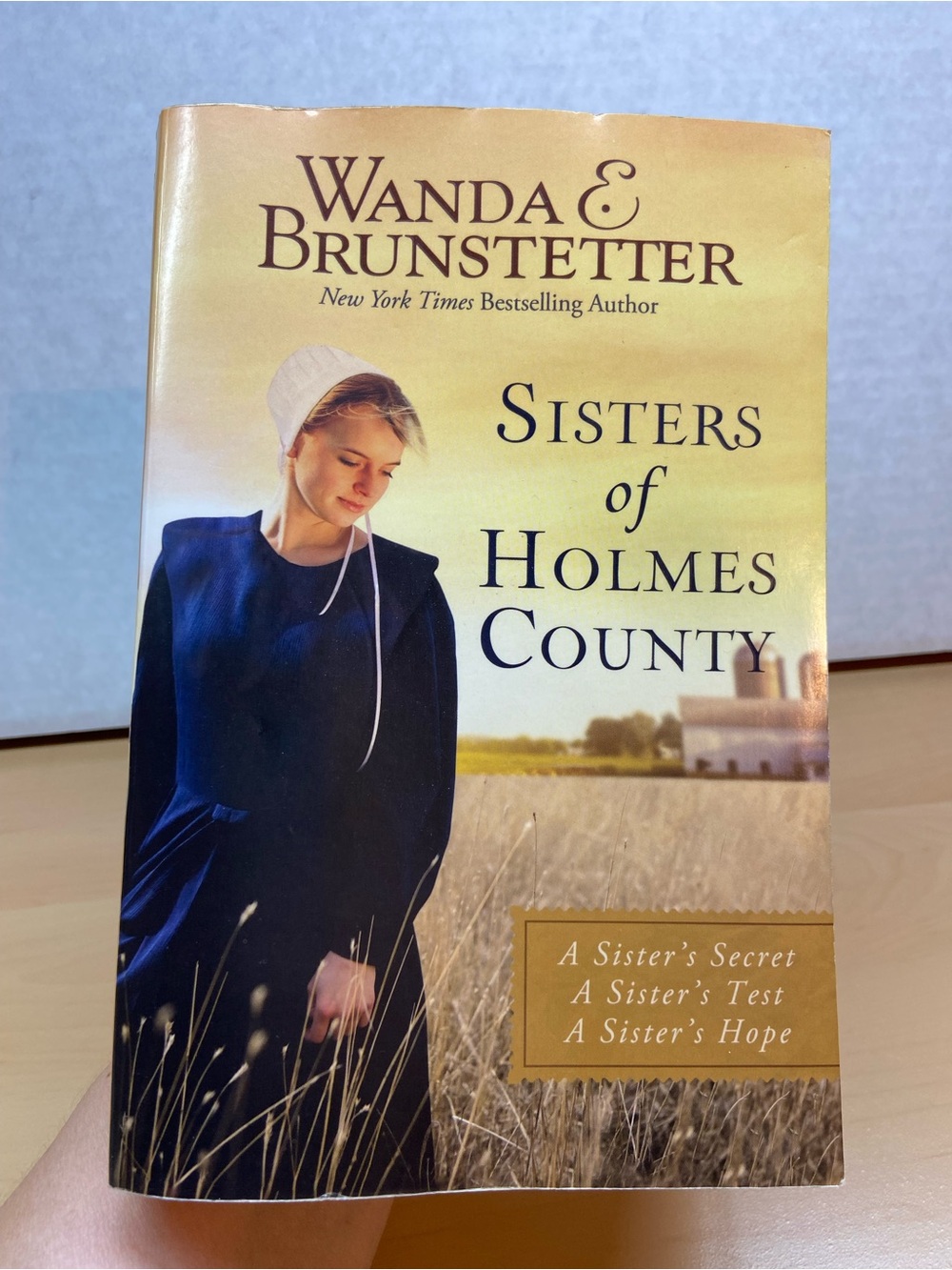 Sisters of Holmes County Trilogy Book